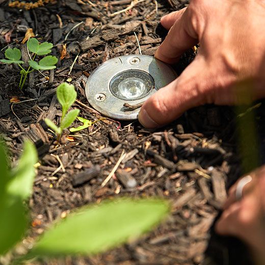 Landscape Lighting Installation in Carlisle MA